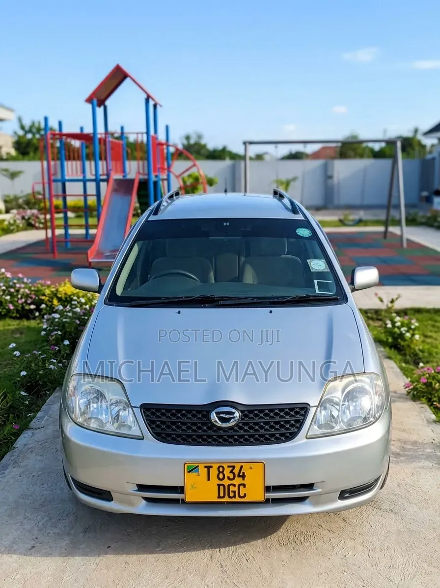 Toyota Corolla Fielder 1.5 Petrol AWD 2006 Silver