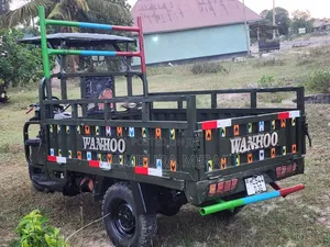 Bajaj 2025 Green