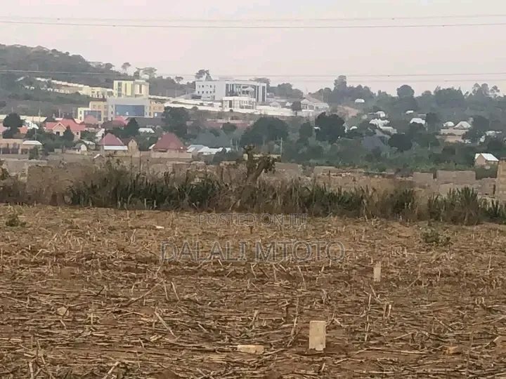 Viwanja Vinauzwa Nselewa Mkoani, Mbozi, Songwe.