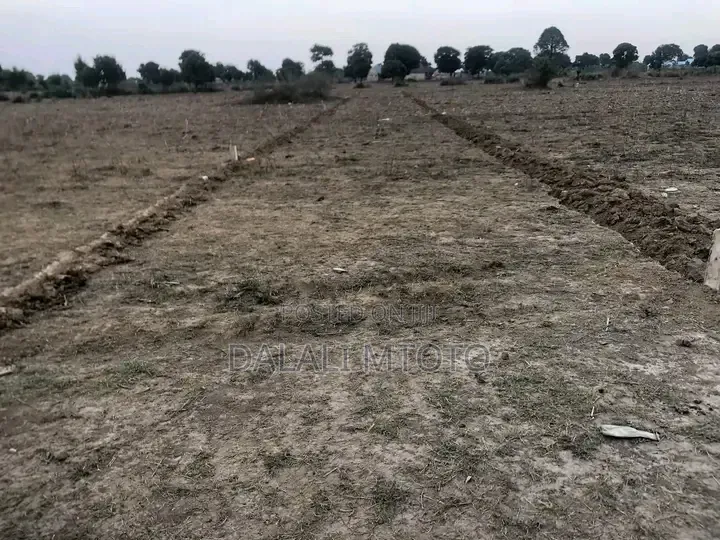 Viwanja Vinauzwa Nselewa Mkoani, Mbozi, Songwe.