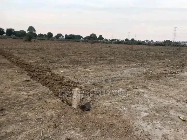 Viwanja Vinauzwa Nselewa Mkoani, Mbozi, Songwe.