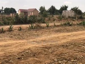 Viwanja Vinauzwa Nselewa Mkoani, Mbozi, Songwe.