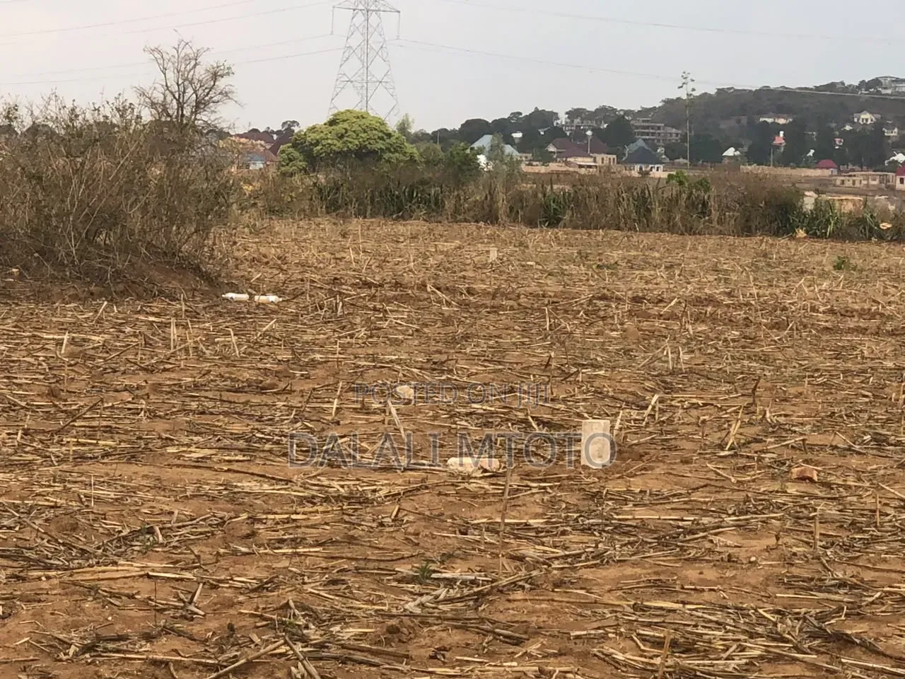Viwanja Vinauzwa Nselewa Mkoani, Mbozi, Songwe.