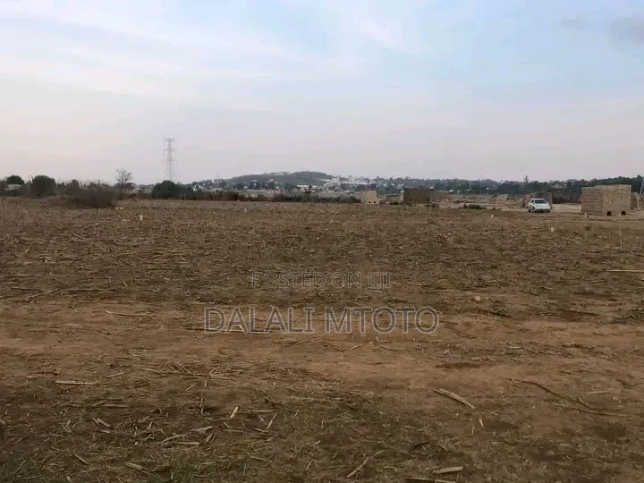 Viwanja Vinauzwa Nselewa Mkoani, Mbozi, Songwe.