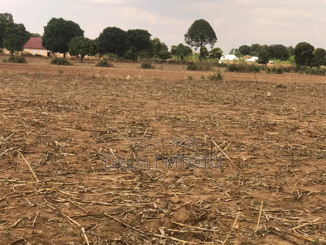 Viwanja Vinauzwa Nselewa Mkoani, Mbozi, Songwe.