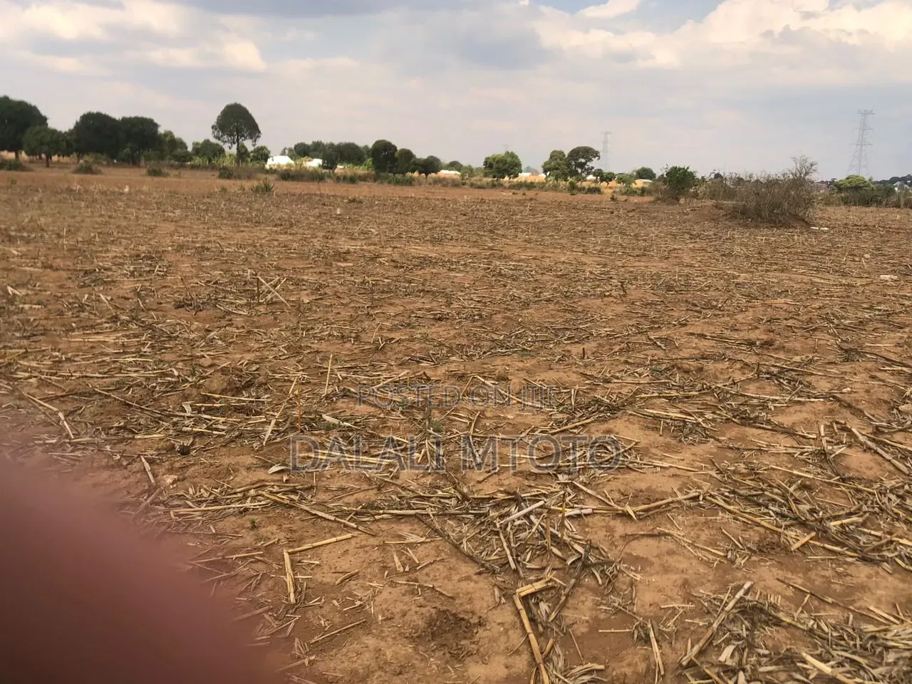 Viwanja Vinauzwa Nselewa Mkoani, Mbozi, Songwe.
