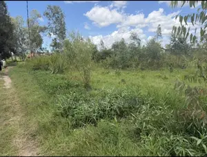 Nauza Kiwanja, Kipo Jirani Na Stendi Ya Nyamongolo Mwanza,