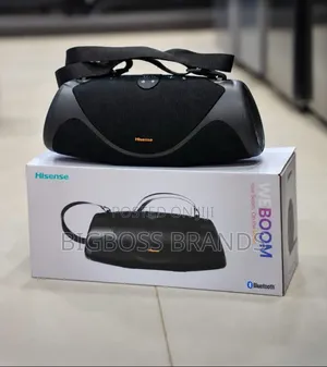 Hisense Weboom 24 Standing on Bluetooth Speaker