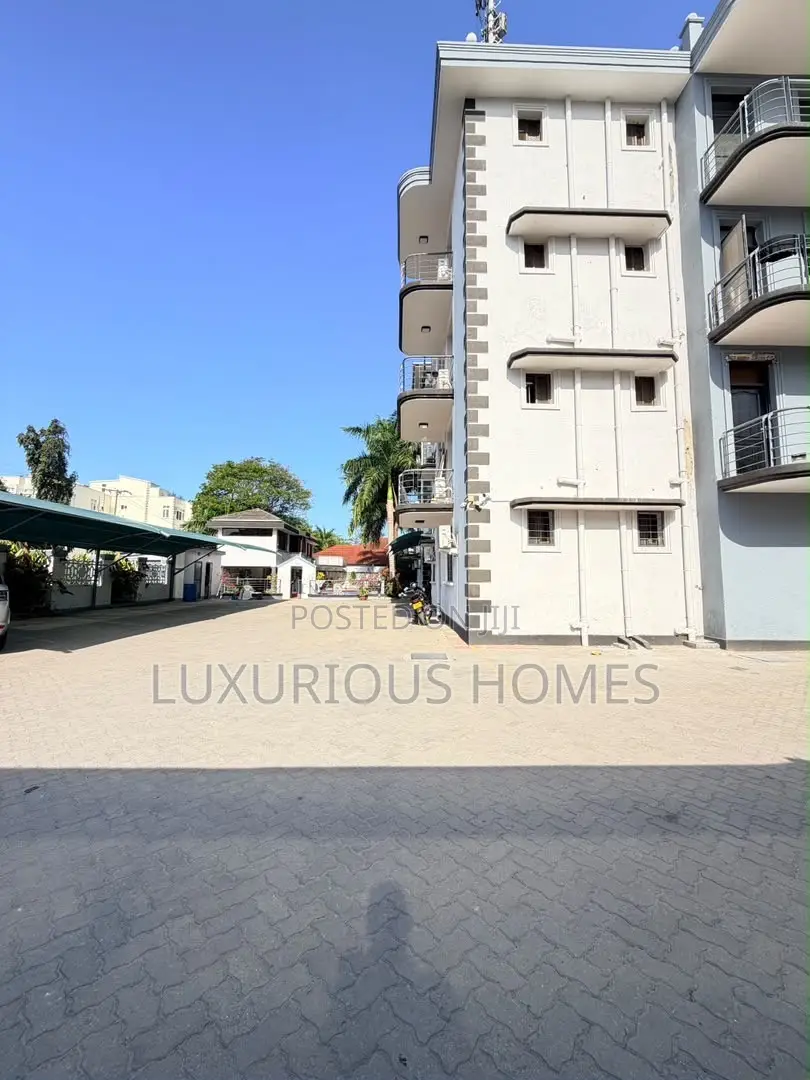 Furnished 3bdrm Apartment in Masaki for rent