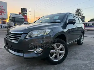 Toyota Vanguard 2010 Gray