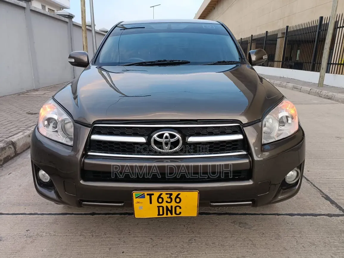 Toyota RAV4 2010 Gray