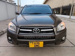 Toyota RAV4 2010 Gray