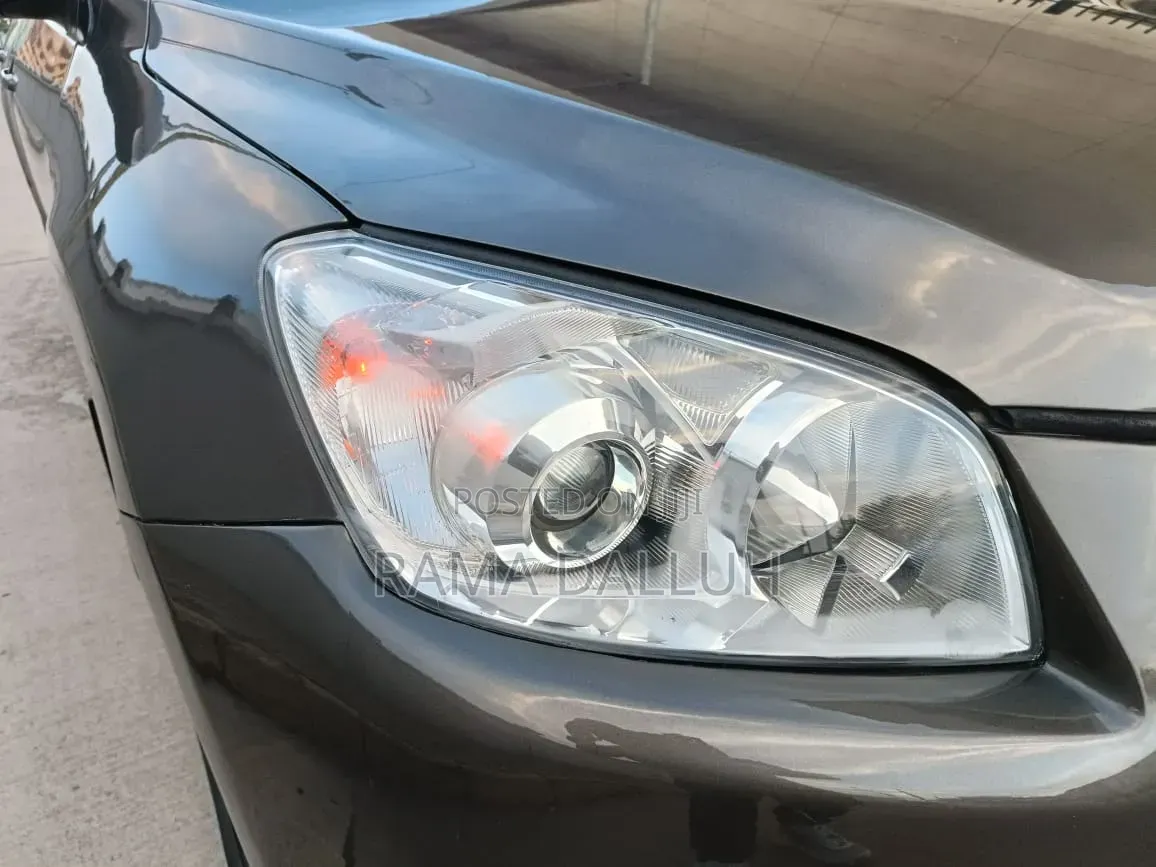 Toyota RAV4 2010 Gray