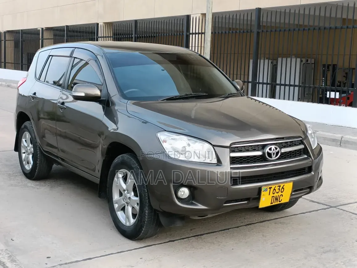 Toyota RAV4 2010 Gray