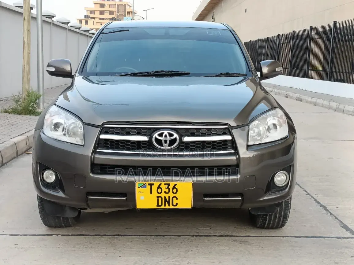 Toyota RAV4 2010 Gray