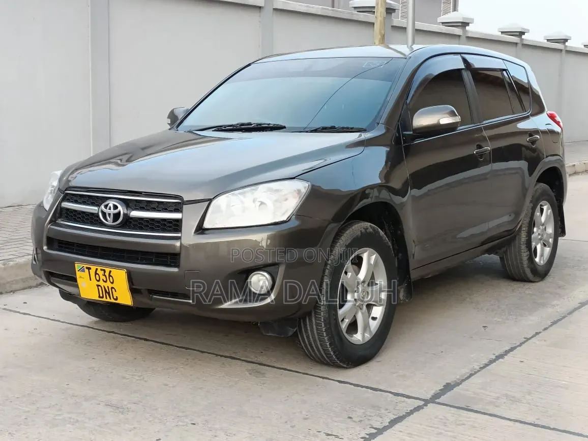 Toyota RAV4 2010 Gray