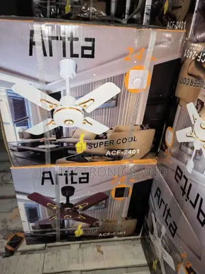 Arita Ceiling Fan Size 24 Original