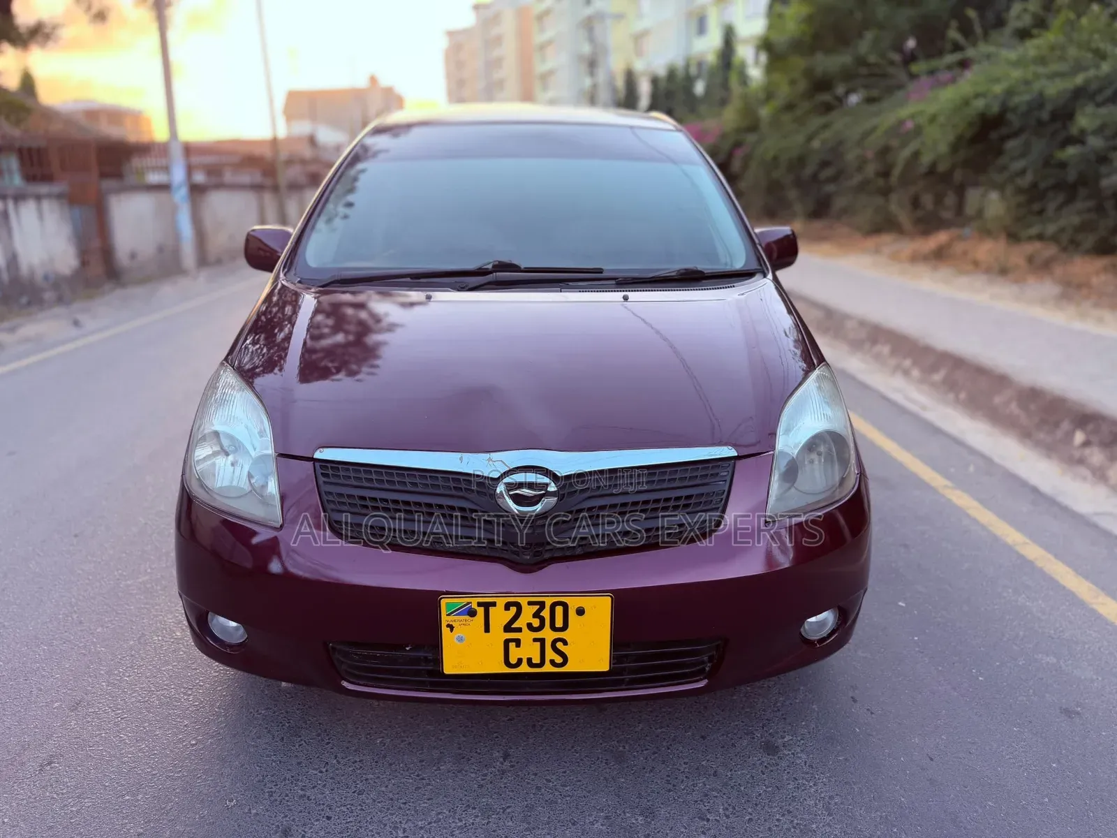 Toyota Corolla Spacio 2003 Maroon