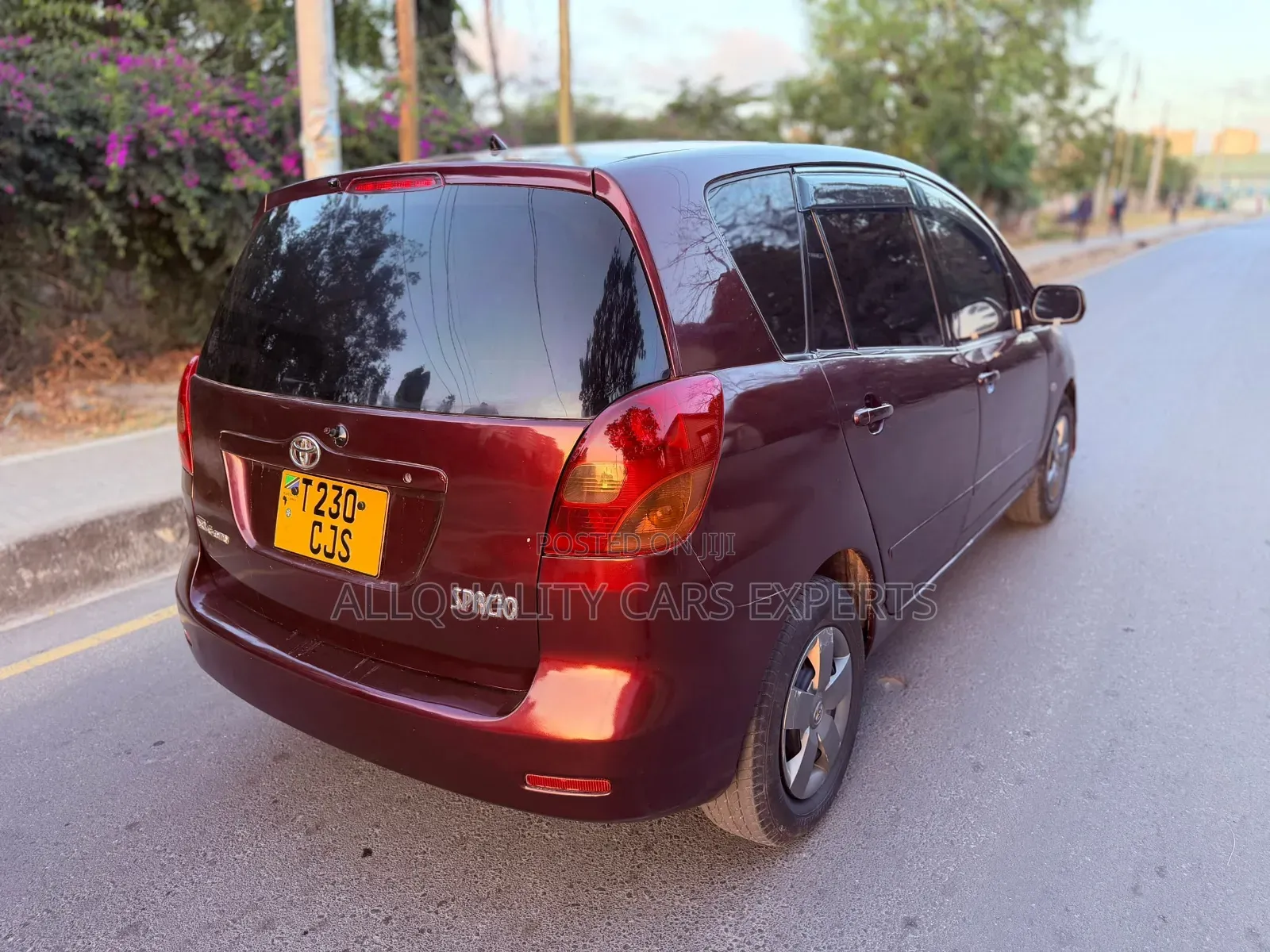 Toyota Corolla Spacio 2003 Maroon