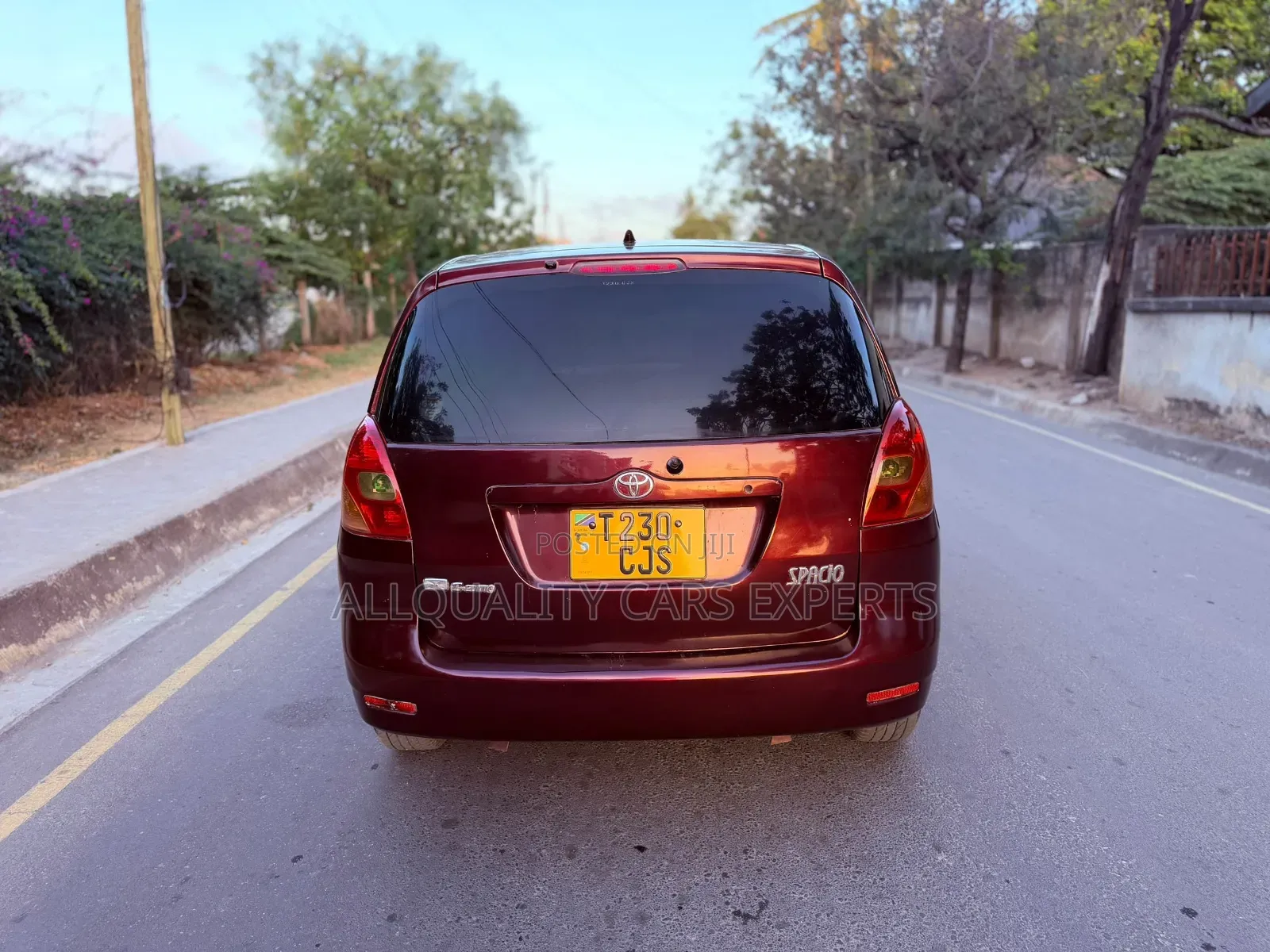 Toyota Corolla Spacio 2003 Maroon