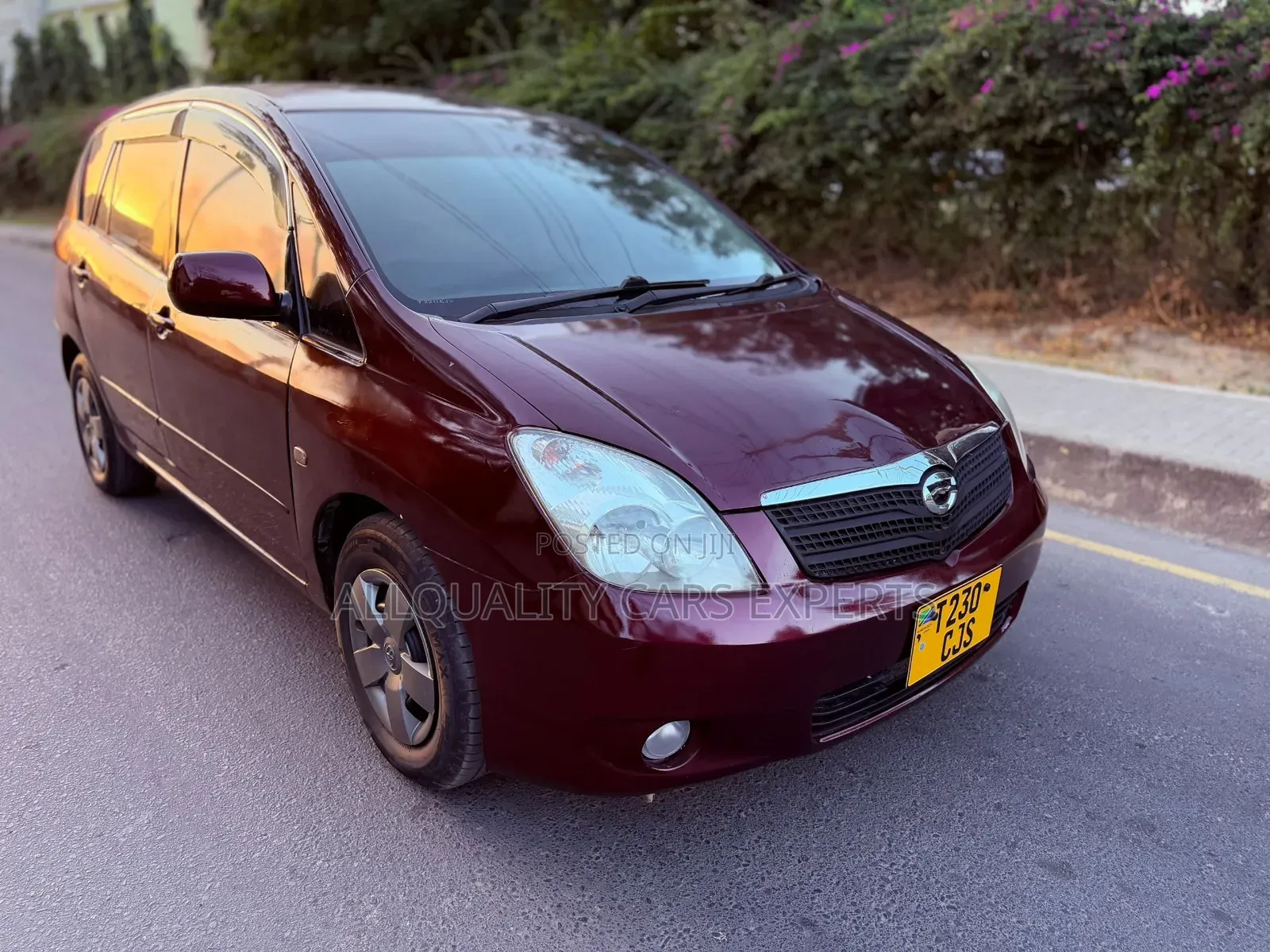 Toyota Corolla Spacio 2003 Maroon