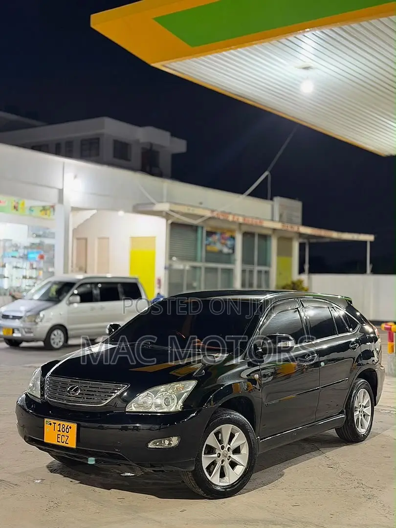 Lexus RX 330 2006 Black