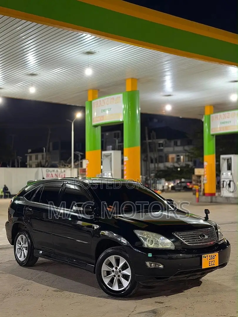 Lexus RX 330 2006 Black
