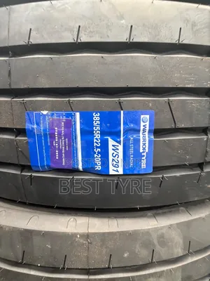 385/55r22.5 Warrior Tyre