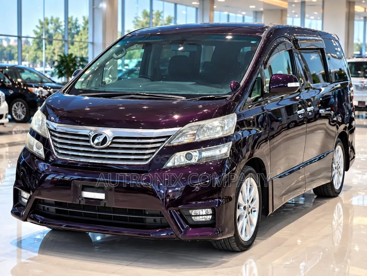 Toyota Vellfire 2009 Purple