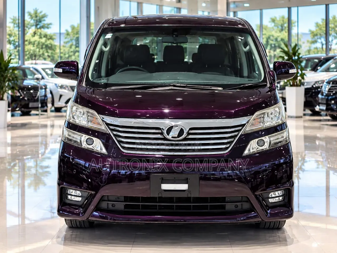 Toyota Vellfire 2009 Purple