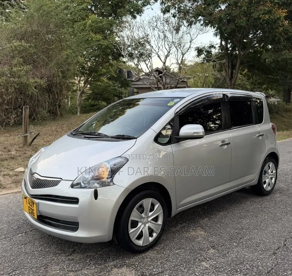 Toyota Ractis 2009 Silver