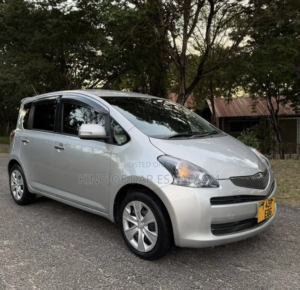 Toyota Ractis 2009 Silver