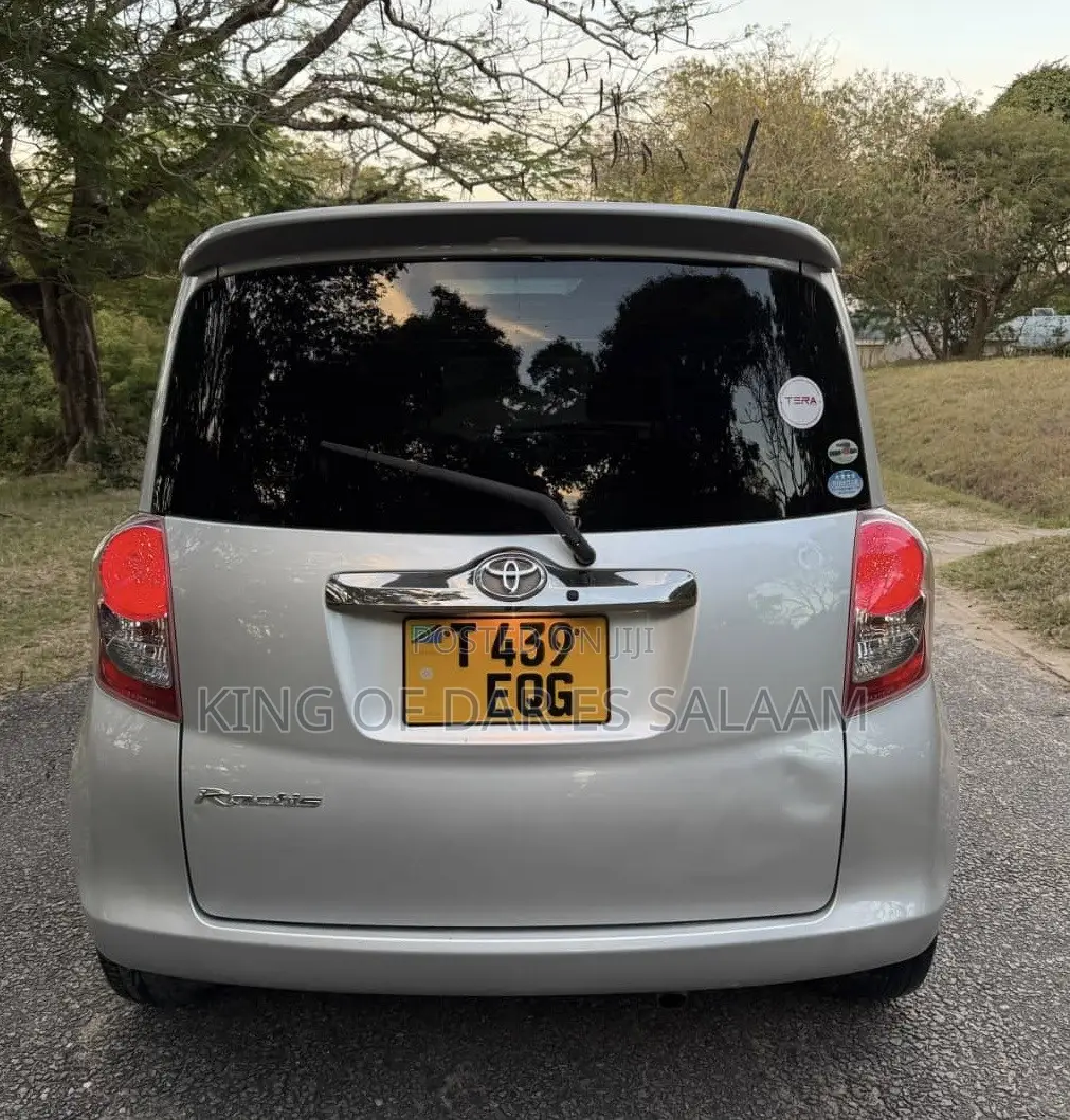 Toyota Ractis 2009 Silver