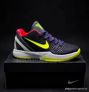 Kobe Nike 6 Protro