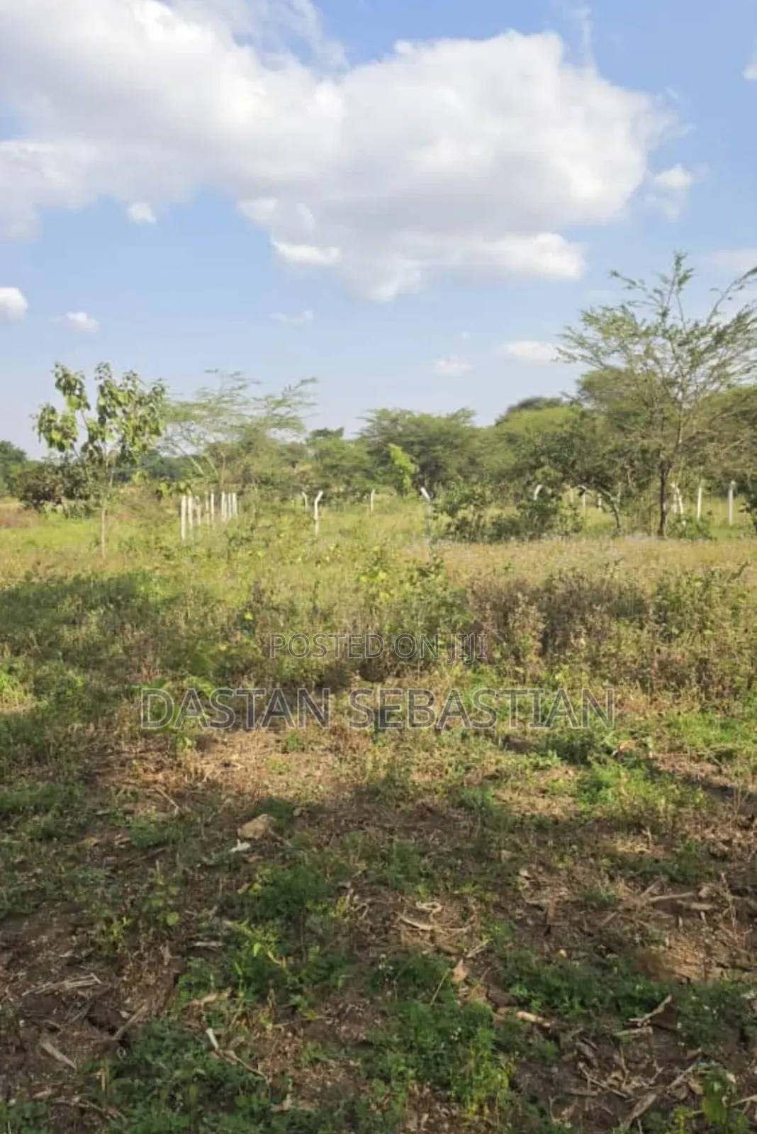 Arusha East Africa Road Kikwe