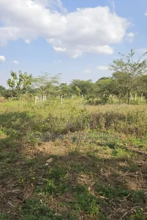 Arusha East Africa Road Kikwe