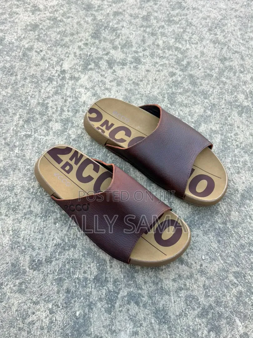 Men's Sandals Ecco Brown Material Leather