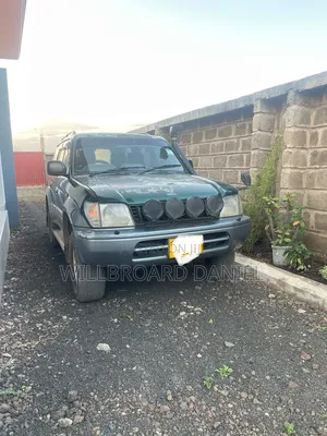 Toyota Land Cruiser Prado 2004 Gray