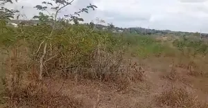 Eneo La Main Road Linauzwa Kiluvya