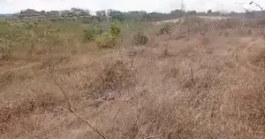 Eneo La Main Road Linauzwa Kiluvya
