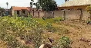 Plot for Sale at Tegeta