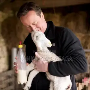 Animal Feeding Milk Bottle Nipples