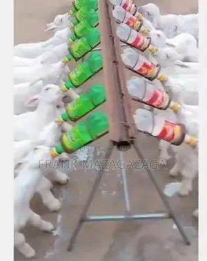 Animal Feeding Milk Bottle Nipples