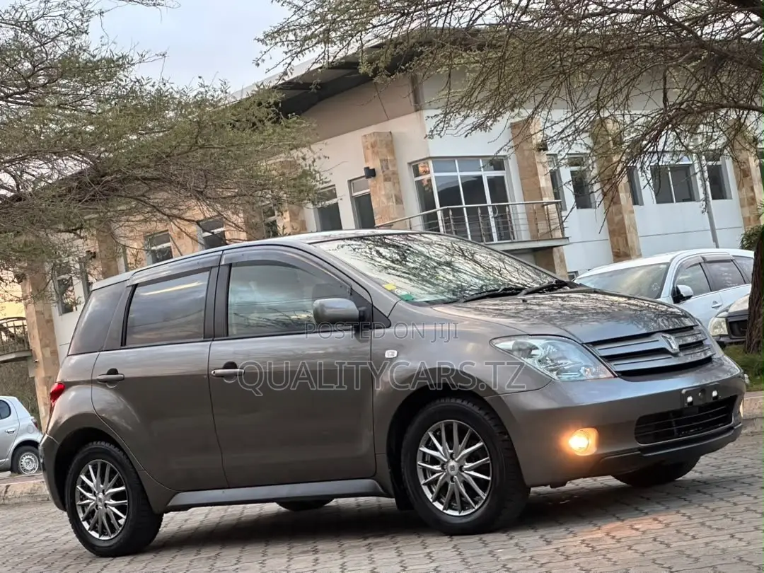 Toyota IST 2005 Gray
