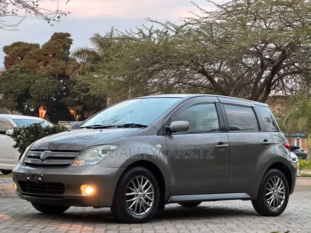 Toyota IST 2005 Gray