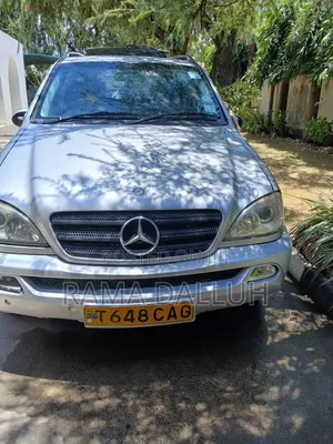 Mercedes-Benz M Class 2004 Silver