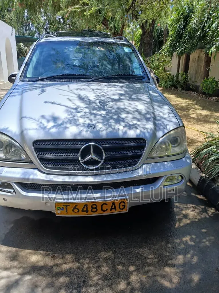 Mercedes-Benz M Class 2004 Silver