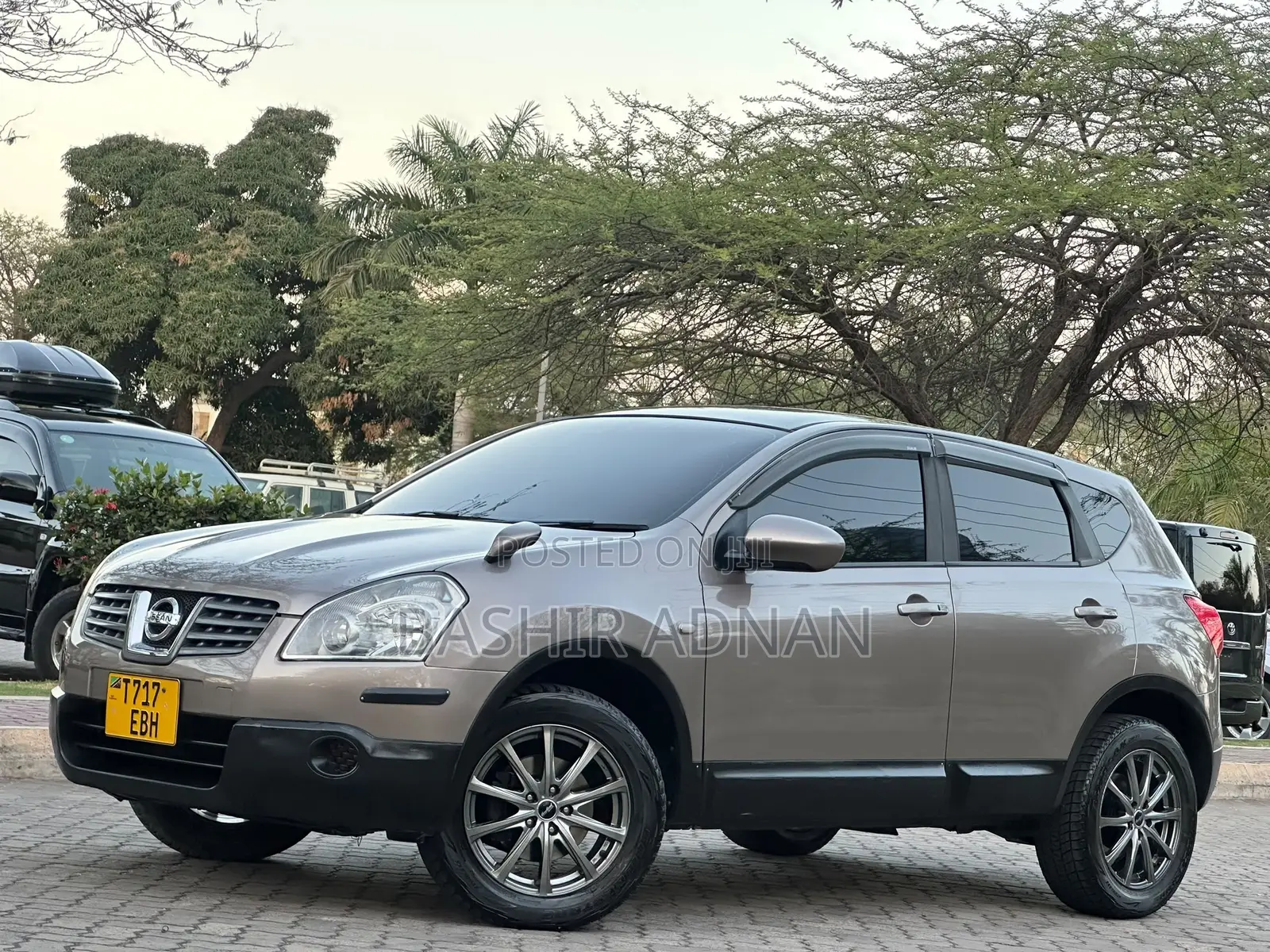 Nissan Dualis 2008 Beige