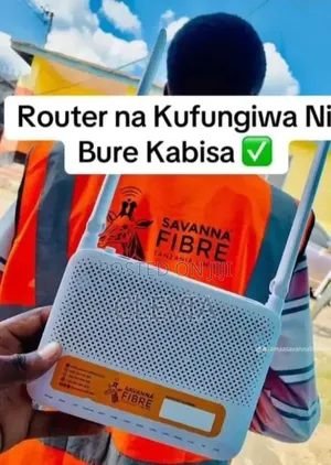 Router (Savanna Fiber Internet