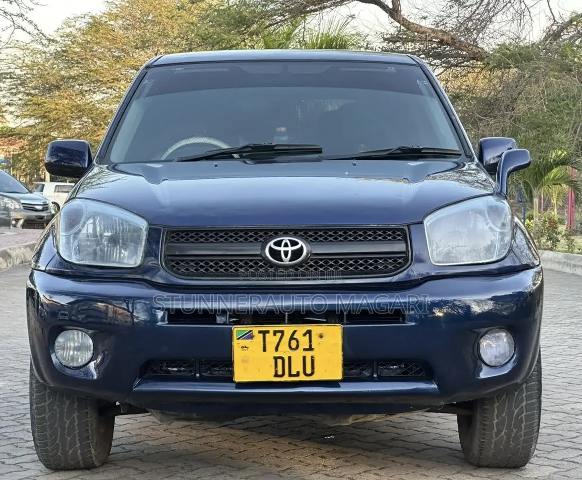 Toyota RAV4 2004 Blue